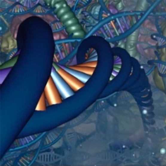 La Cellula Eucariote In 3D ITA ENG Collezioni Zanichelli la-cellula-eucariote-in-3d-ita-eng-collezioni-zanichelli